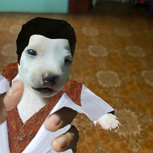 Meet your Posher, Ely